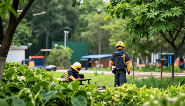 技术外包服务包在成本控制中的应用分析
